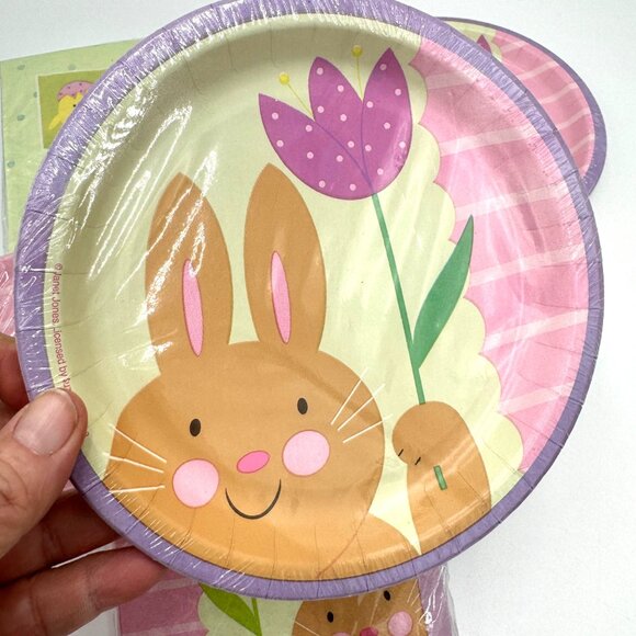 Party Creations Vintage Bunny’s Day Out paper products plates napkins Easter Spr - Picture 2 of 7